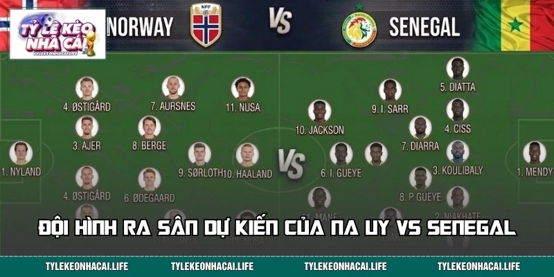 Đội hình dự kiến ra sân trận Na Uy vs Senegal