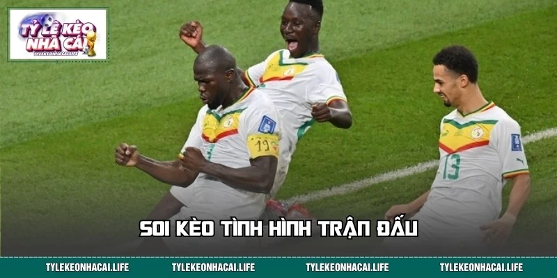 Nhận định và soi kèo trận Na Uy đối đầu Senegal
