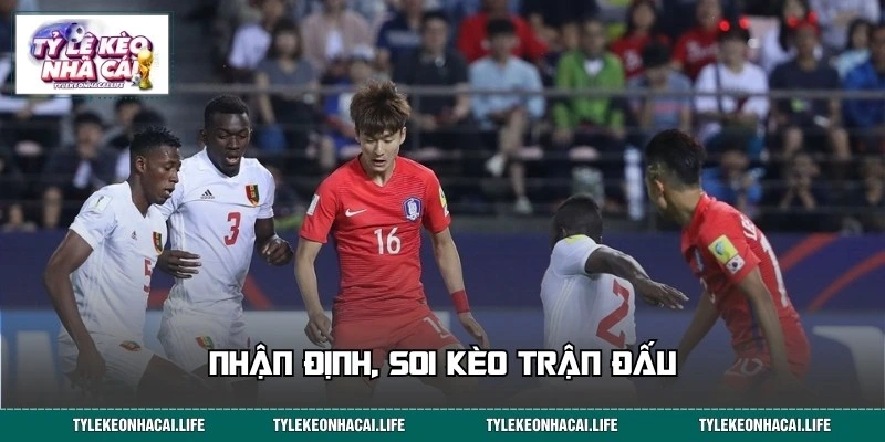 Nhận định soi kèo trận giữa Nam Phi vs Hàn Quốc