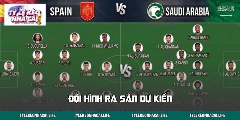 Đội hình ra sân dự kiến trận Tây Ban Nha vs Saudi Arabia