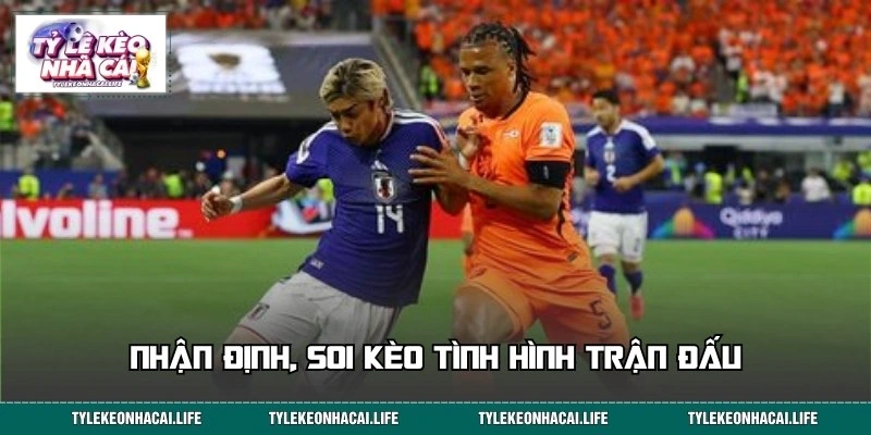 Chuyên gia nhận định và soi kèo chi tiết trận đấu Tunisia vs Hà Lan