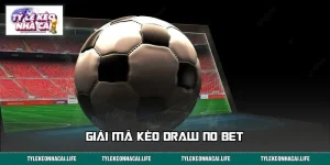 Giải Mã Kèo Draw No Bet - Phân Tích Chuẩn, Đặt Cược Nhanh