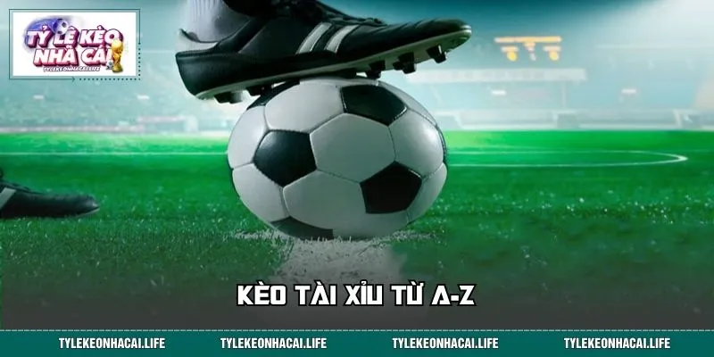 Kèo Tài Xỉu Từ A-Z: Hướng Dẫn Chơi Dễ Hiểu Cho Người Mới
